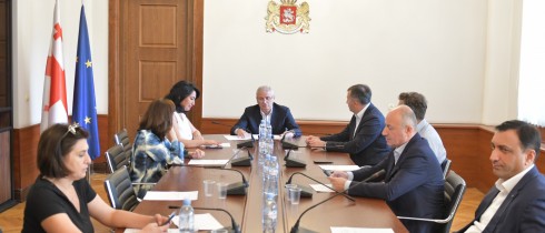 The Procedural Issues and Rules Committee discussing the early termination of the powers of an MP for Ketevan Dumbadze