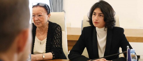 სალომე ქურასბედიანი ჩეხეთის გარემოს დაცვის მინისტრს შეხვდა