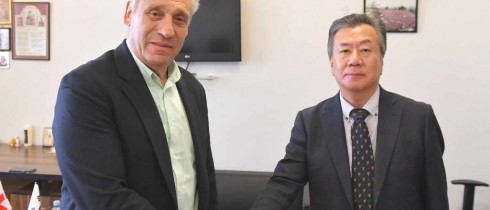 Meeting of Shota Khabareli with Chargé d'Affaires of the Republic of Korea
