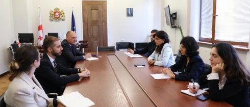მაია ბითაძე და სალომე ქურასბედიანი გაეროს განვითარების პროგრამის (UNDP) წარმომადგენლებს შეხვნენ