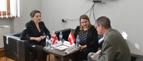 თამარ ჩარკვიანი საქართველოში ავსტრიის ელჩს, თომას მიულმანს შეხვდა