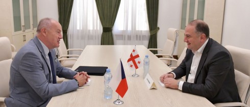 ირაკლი ჩიქოვანი ჩეხეთის რესპუბლიკის საგანგებო და სრულუფლებიან ელჩს შეხვდა