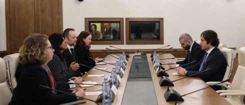 Meeting of Irakli Kobakhidze with the Director/Secretary of the Venice Commission
