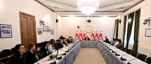 რატი იონათამიშვილი ჯანდაცვის სფეროს წარმომადგენლებს შეხვდა