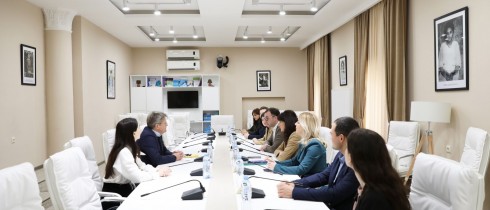 მაია ბითაძე და დავით სონღულაშვილი ენერგეტიკული გაერთიანების სამდივნოს დირექტორს შეხვდნენ