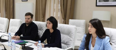 სალომე ქურასბედიანი გაეროს ევროპის ეკონომიკური კომისიის მდგრადი ენერგეტიკის სამმართველოს დირექტორს შეხვდა