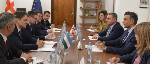 გიორგი კახიანი უზბეკეთის საგარეო საქმეთა მინისტრის მოადგილეს შეხვდა