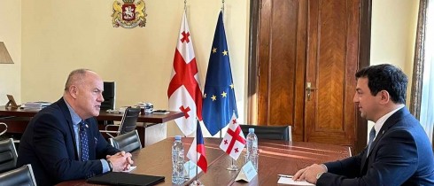 არჩილ თალაკვაძე საქართველოში ჩეხეთის რესპუბლიკის საგანგებო და სრულუფლებიან ელჩს პეტრ კუბერნატს შეხვდა