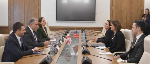 მიხეილ სარჯველაძე ამერიკის შეერთებული შტატების ელჩს შეხვდა