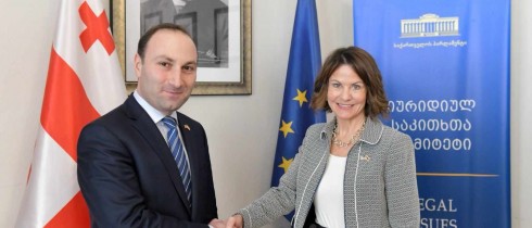 ანრი ოხანაშვილი ამერიკის შეერთებული შტატების ელჩს შეხვდა