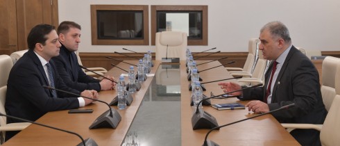 მიხეილ სარჯველაძემ კომიტეტის 2024 წლის სამოქმედო გეგმასთან დაკავშირებით შეხვედრა გამართა