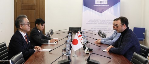 დავით სონღულაშვილი იაპონიის ელჩს შეხვდა