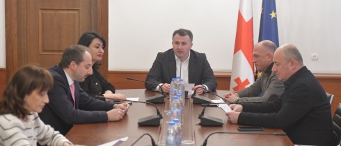 The Procedural Issues and Rules Committee approved the termination of the credentials of Irakli Kobakhidze and Irakli Chikovani ahead of time