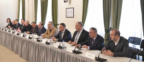 ანრი ოხანაშვილი და იურიდიულ საკითხთა კომიტეტის წევრები გერმანელ კოლეგებს შეხვდნენ