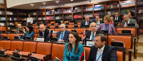 Ramaz Nikolaishvili Participating in Session of PABSEC Committee on Culture, Education, and Social Affairs