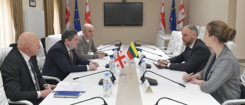გელა სამხარაული ლიეტუვის ელჩს შეხვდა