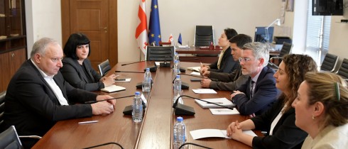 პაატა კვიჟინაძე საერთაშორისო სავალუტო ფონდის მისიას შეხვდა