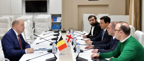 გივი მიქანაძე და არჩილ თალაკვაძე ბელგიის ელჩს შეხვდნენ