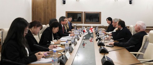 Meeting of Shota Khabareli with Deputy Minister of Foreign Affairs of Korea