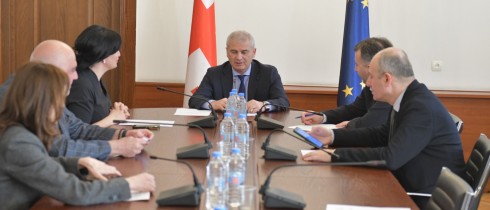 The Procedural Issues and Rules Committee approved the recognition of the Powers of MP for Levan Machavariani