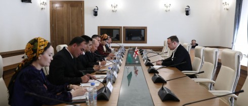 გიორგი ცაგარეიშვილი თურქმენეთის საპარლამენტო დელეგაციას შეხვდა