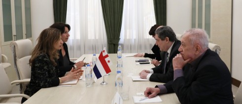 გელა სამხარაული ნიდერლანდების სამეფოს საგანგებო და სრულუფლებიან ელჩს შეხვდა