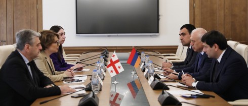 ელისო ბოლქვაძე სომხეთის რესპუბლიკის ელჩს შეხვდა