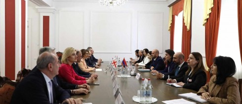 The Parliamentary Delegation headed by the Chair of the Culture Committee, Eliso Bolkvadze serves a visit to Armenia