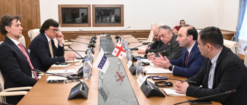 Meeting of Anri Okhanashvili and Tengiz Sharmanashvili with the OSCE/ODIHR Director