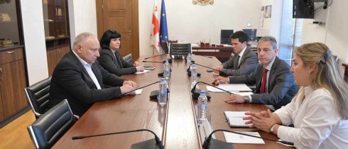 პაატა კვიჟინაძე საერთაშორისო სავალუტო ფონდის მისიის ახალ ხელმძღვანელს შეხვდა