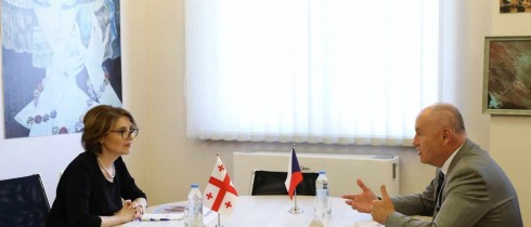 ელისო ბოლქვაძე საქართველოში ჩეხეთის რესპუბლიკის საგანგებო და სრულუფლებიან ელჩს პეტრ კუბერნატს შეხვდა