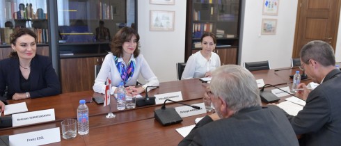 მაკა ბოჭორიშვილი ავსტრიის პარლამენტის საგარეო ურთიერთობათა კომიტეტის წარმომადგნელებს შეხვდა