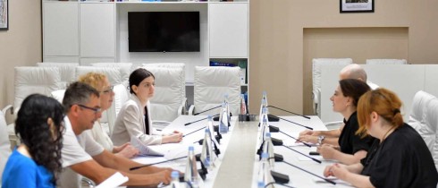 თამარ ჩარკვიანი ეროვნულ-დემოკრატიული ინსტიტუტის (NDI) გრძელვადიანი სადამკვირვებლო მისიის წარმომადგენლებს შეხვდა