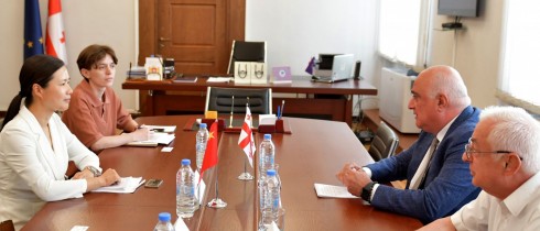 ირაკლი მეძმარიაშვილი საქართველოში ჩინეთის სახალხო რესპუბლიკის ელჩის მოვალეობის შემსრულებელს შეხვდა