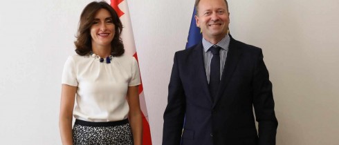 მაკა ბოჭორიშვილი ლიეტუვის საგანგებო და სრულუფლებიან ელჩს შეხვდა