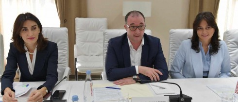მაია ბითაძე, მაკა ბოჭორიშვილი და დავით სონღულაშვილი ენერგეტიკული გაერთიანების ხელმძღვანელს შეხვდნენ