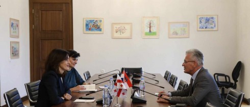 მაკა ბოჭორიშვილი საქართველოში ხორვატიის საგანგებო და სრულუფლებიან ელჩს შეხვდა
