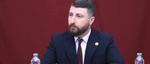 Election of Tornike Cheishvili as First Deputy Chair of Legal Issues Committee