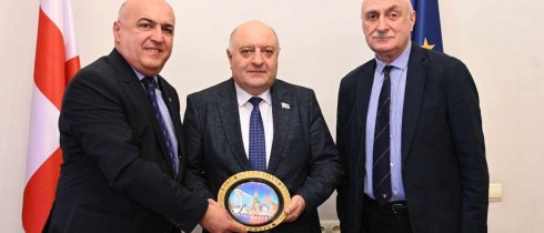Meeting of Zaza Lominadze with the Chair of the Labour and Social Policy Committee of the Milli Majlis of Azerbaijan