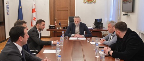 Zurab Rurua Elected as Deputy Chair of Sports Committee
