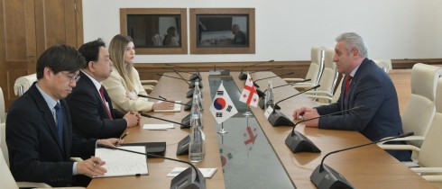 Meeting of Shota Khabareli with the Ambassador of Korea