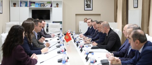Irakli Zarkua Meets with Montenegro’s Minister of Diaspora Mirsad Azemović