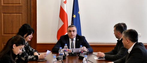 The Procedural Issues and Rules Committee deliberating on the credentials of the Power of MP for Ioseb Jorbenadze