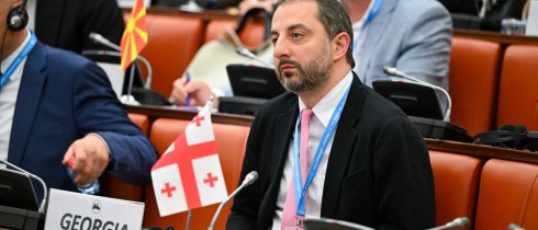 Irakli Mezurnishvili Participates in Legal Affairs and International Cooperation Committee Meeting of the Black Sea Economic Cooperation
