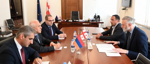 ვიქტორ სანიკიძე სომხეთის რესპუბლიკის ელჩს შეხვდა