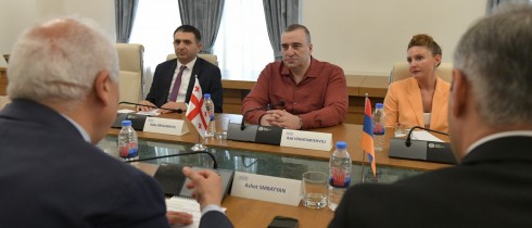 რატი იონათამიშვილი სომხეთის ელჩს შეხვდა