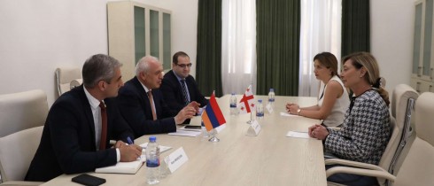 Eka Chichinadze, Culture Committee’s First Deputy Chair meeting with the Ambassador of Armenia