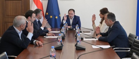 Irakli Shatakishvili elected as the First Deputy Chair of the Foreign Relations Committee