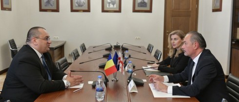 გია ბენაშვილი ევროპარლამენტის წევრს შეხვდა