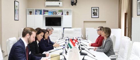ნინო წილოსანი უნგრეთის სახელმწიფო მდივანს ორმხრივი ურთიერთობების საკითხებში ბოგლარკა ილეშს შეხვდა
